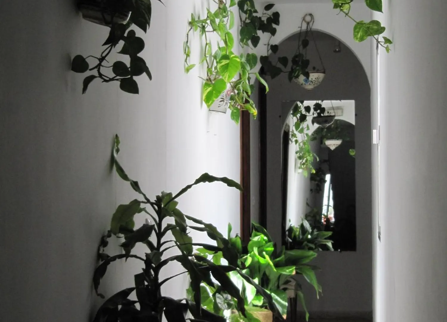 Гостевой дом Hostal La Pilarica Марбелья