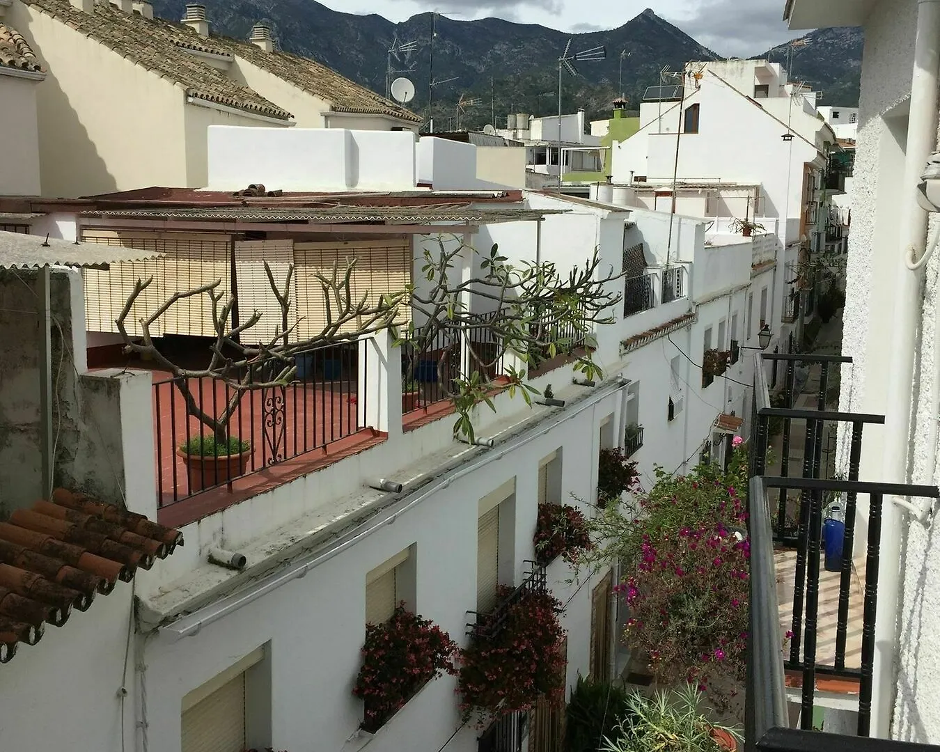 Hostal La Pilarica Марбелья Гостевой дом