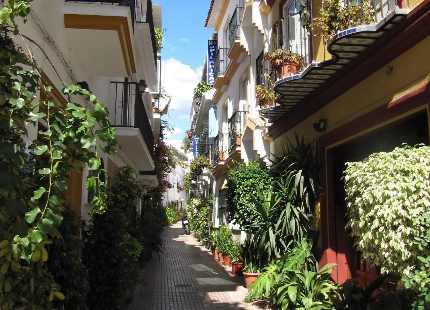 Pensjonat Hostal La Pilarica Marbella
