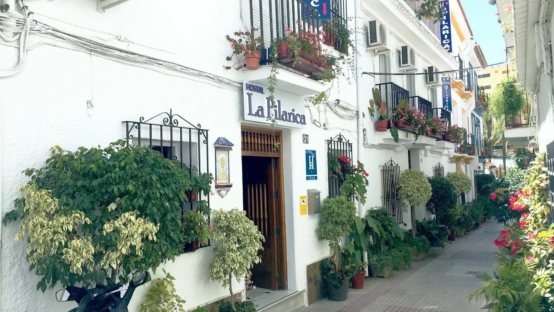 Hostal La Pilarica Marbella Hiszpania