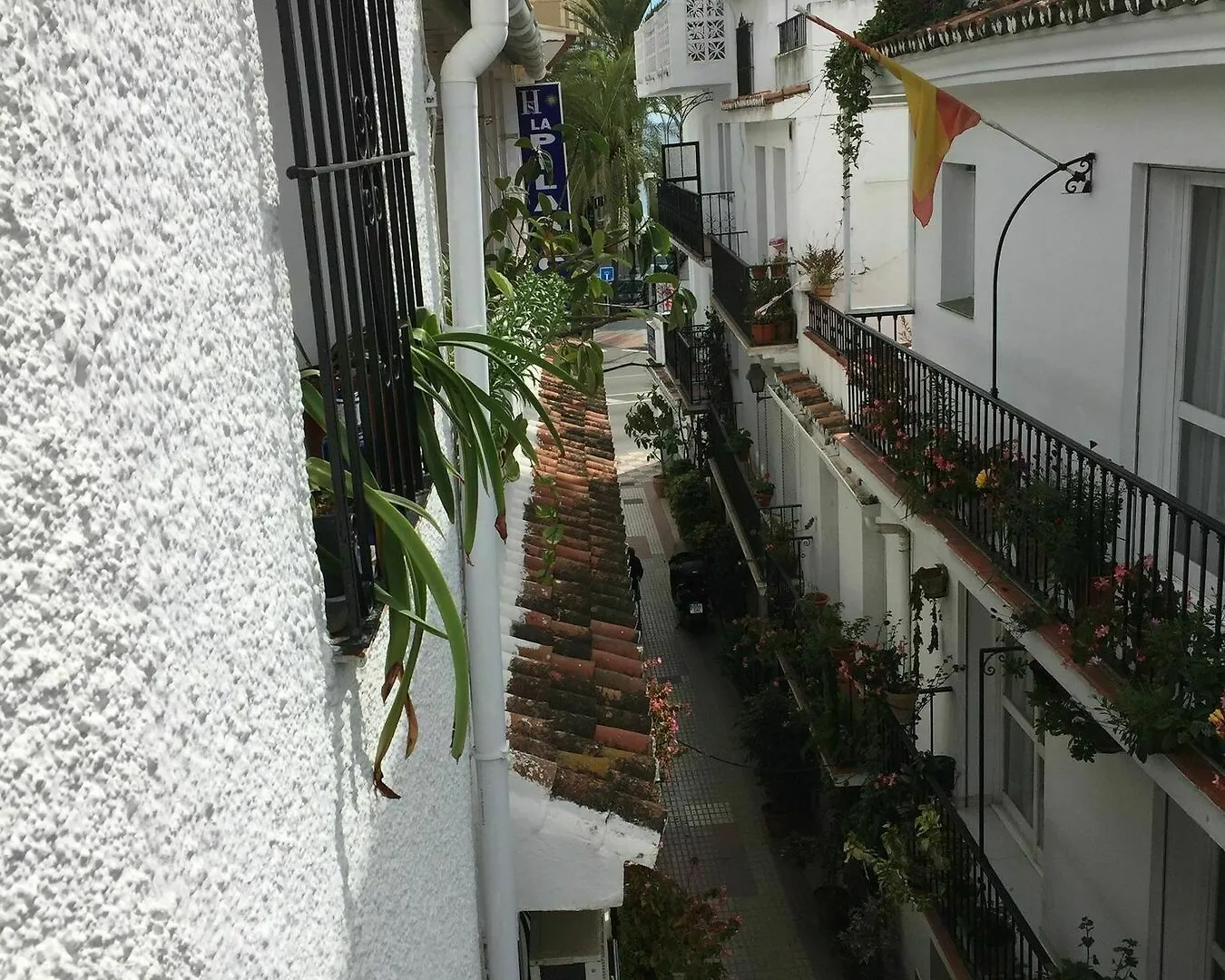 Hostal La Pilarica Marbella 0*,